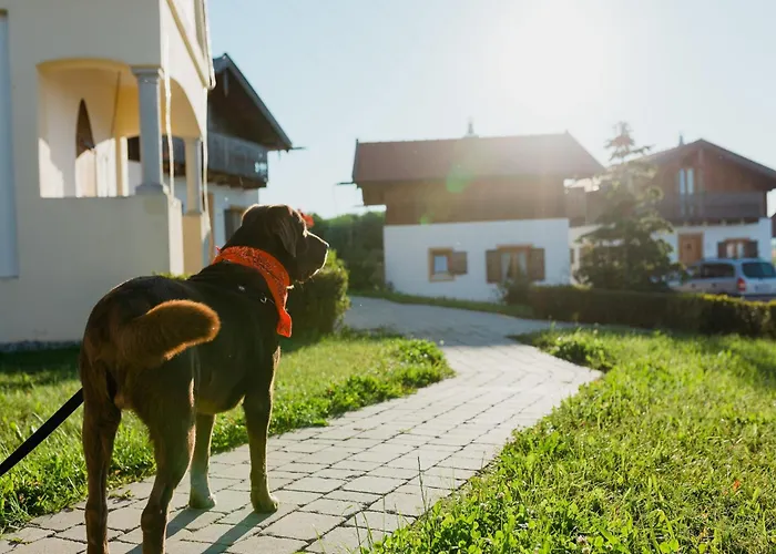 Dom wakacyjny Im Landhausstil Im Vital Camp *